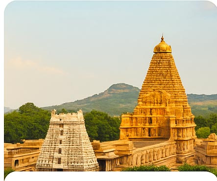 Tiruvannamalai Kit